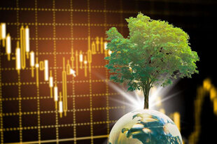 71e22e39-2688-4c57-81a4-a720b72177a8 71e22e39-2688-4c57-81a4-a720b72177a8