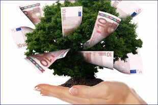 323389f1-1fba-45a9-98f7-fb41225ef383 323389f1-1fba-45a9-98f7-fb41225ef383