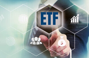 106b7a72-e655-470a-aede-3a566809ef00 106b7a72-e655-470a-aede-3a566809ef00