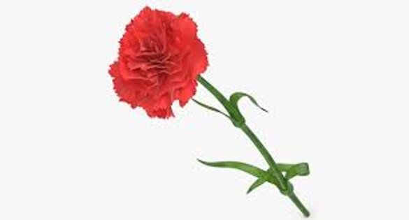 07df0951-51d7-4343-ac40-bb19f1c688f4.jpeg 07df0951-51d7-4343-ac40-bb19f1c688f4.jpeg