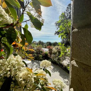 Foto verso piscina con fiori