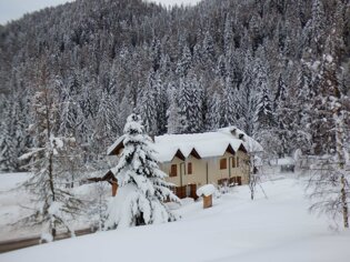 ed654a4f-dfb6-4544-b037-dd54152c31c8