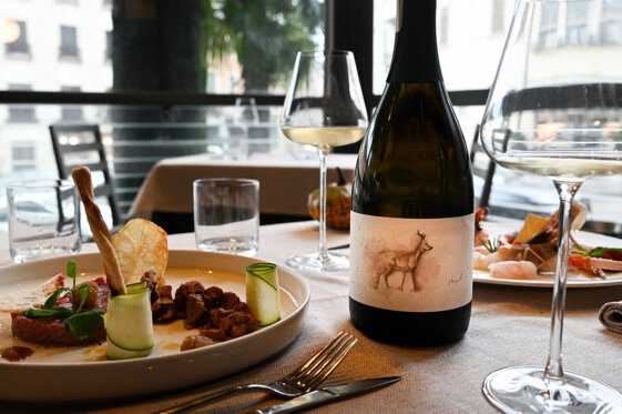 2f307160-9998-475f-8f16-a5ded23fdcbe