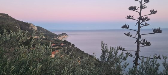 e2097e59-c317-4c05-8425-ae112c7bd872 e2097e59-c317-4c05-8425-ae112c7bd872