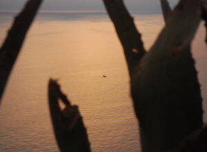 dsc_3176.jpeg