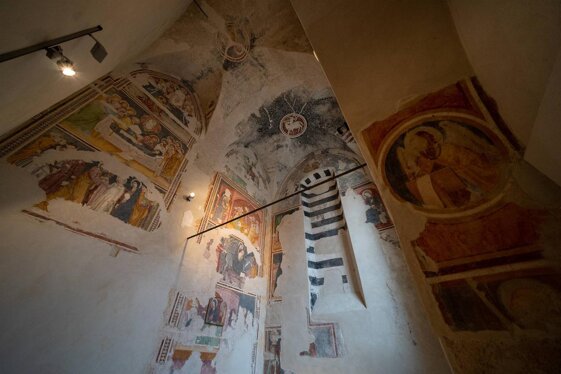 oliveri.jpeg oliveri.jpeg