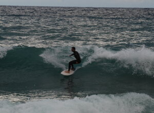 dsc_3175.jpeg