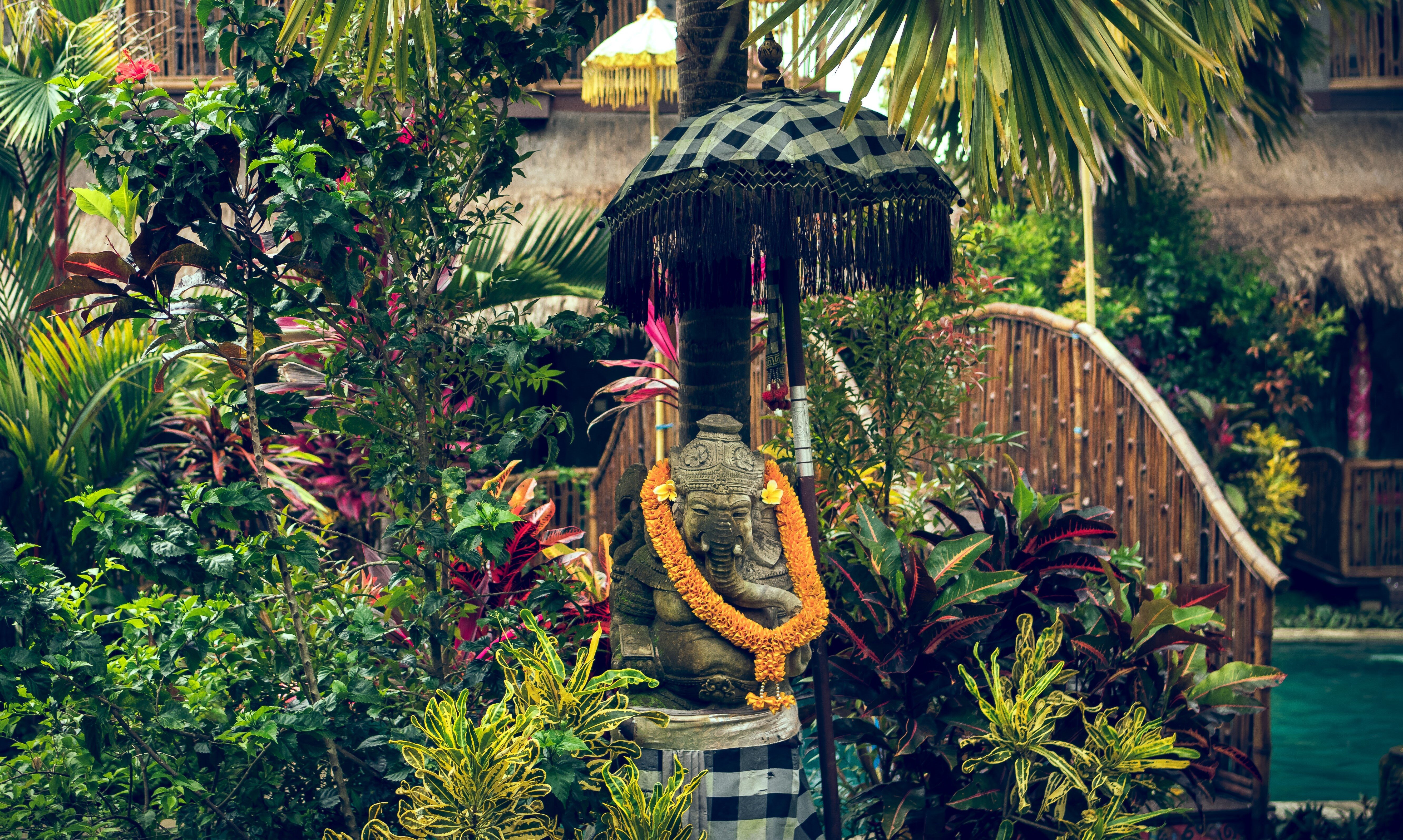 Di ombrelli e ombrelloni: una storia di luce e ombra