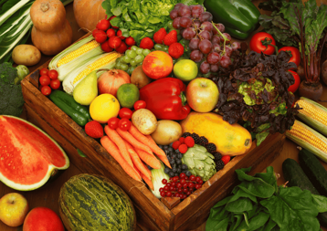 400c8fc7-fdba-4206-9840-03254c46f328