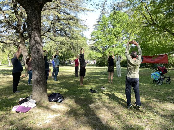 c0ea4687-6b63-49b1-8fb7-d03994cd5f59