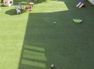 scuola00008 scuola00008