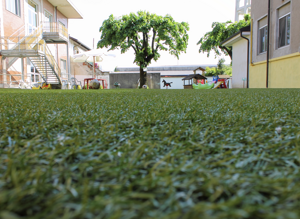 scuola00019 scuola00019