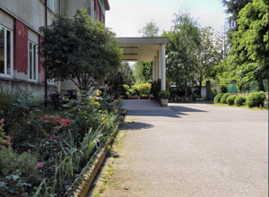 scuola00013 scuola00013