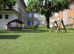 scuola00024 scuola00024