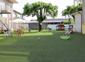 scuola00017 scuola00017