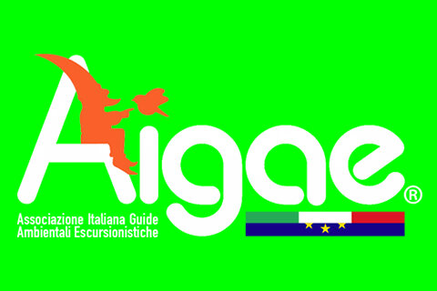 aigaeginogruppillophotographer_1