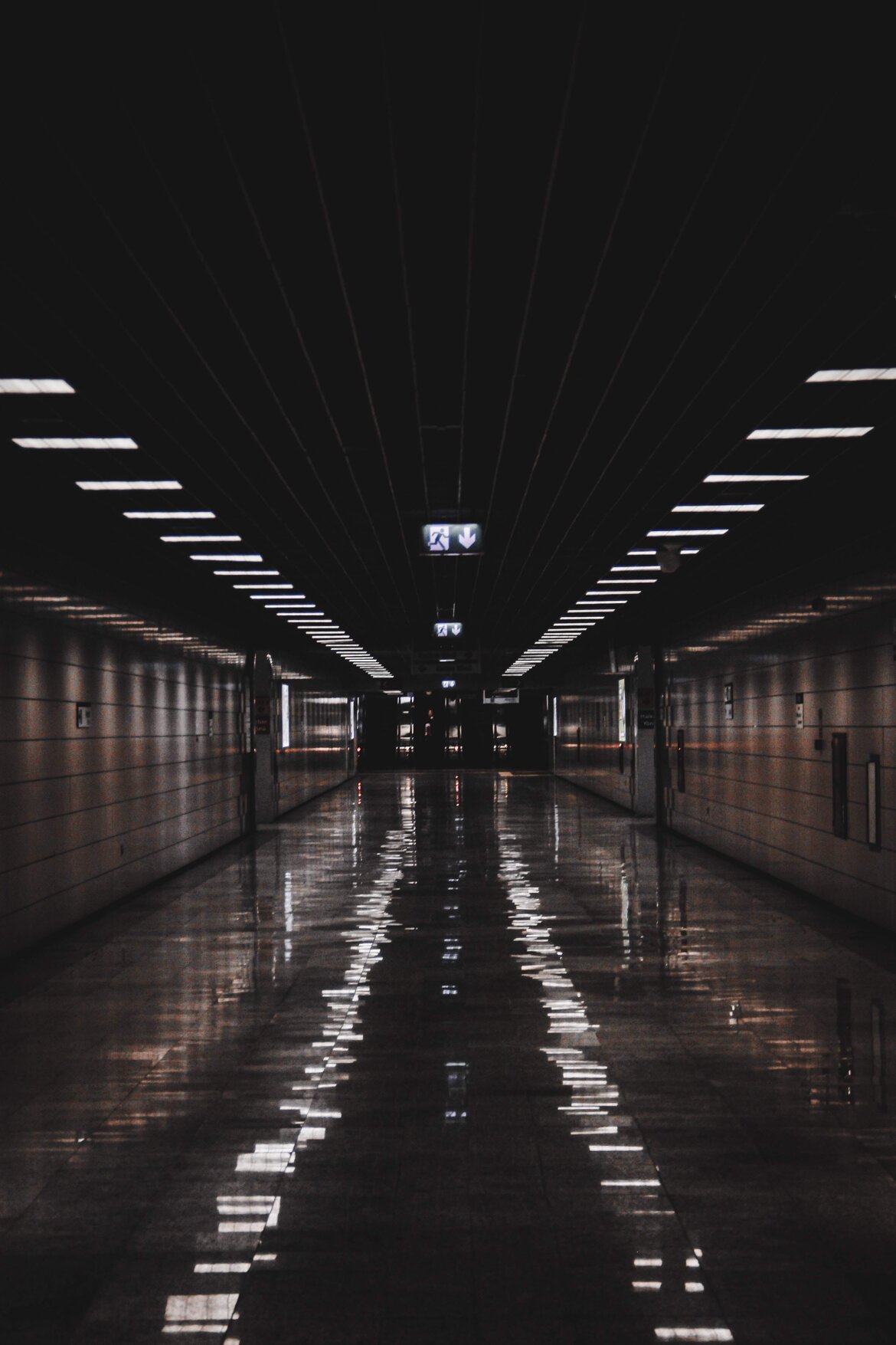 5d73922e-948a-4e35-bb73-4aa641ffd9e5.jpeg 5d73922e-948a-4e35-bb73-4aa641ffd9e5.jpeg