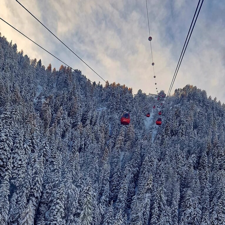 3081da17-18ea-43d5-a44a-de79a7e064ab 3081da17-18ea-43d5-a44a-de79a7e064ab