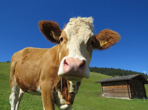 c3c4c711-a0d4-4438-b560-538496867d93