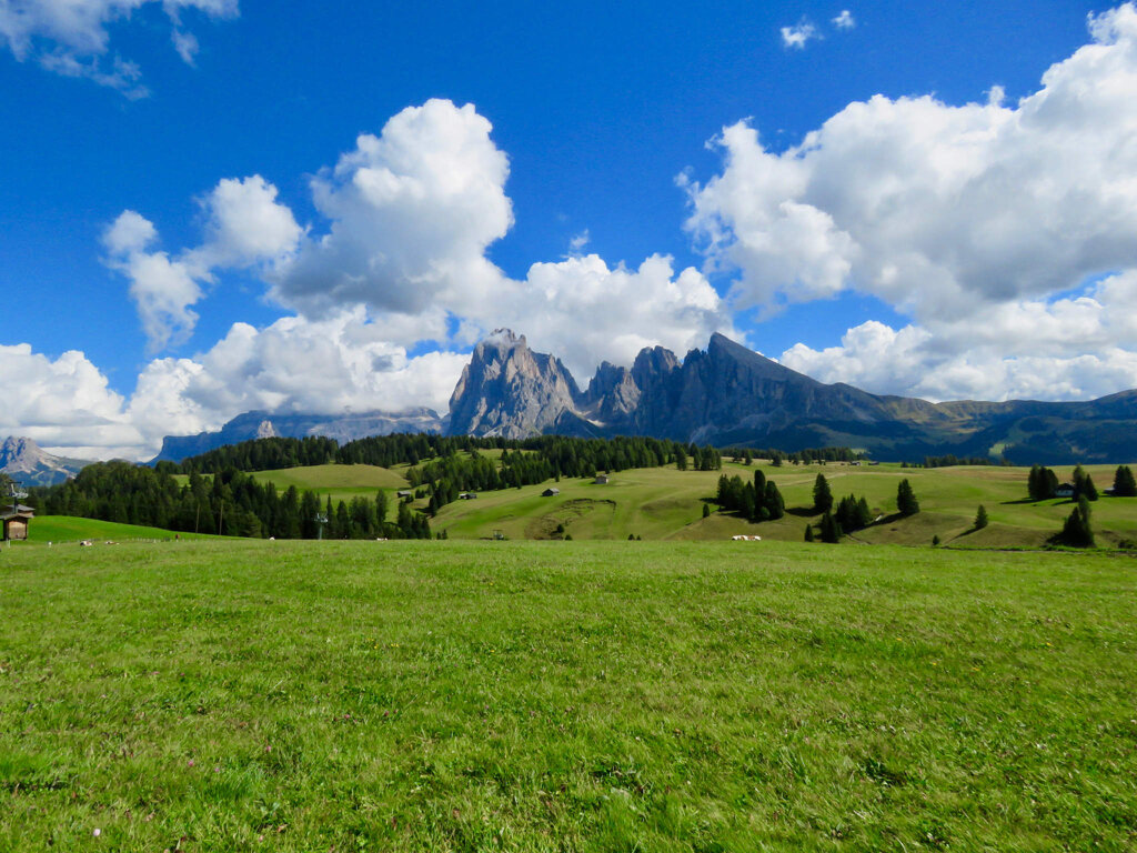 6d13f4e3-326c-4736-b366-f607dd39c66a