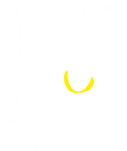 contorno gatto contorno gatto