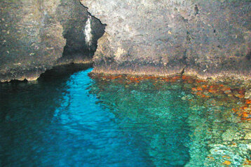 52fee190-2acd-4367-a0ab-0f37110164db