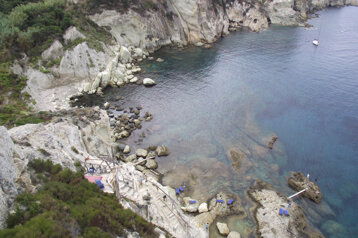 cc72ba9c-e5fc-448a-bb1e-031d3165e79a