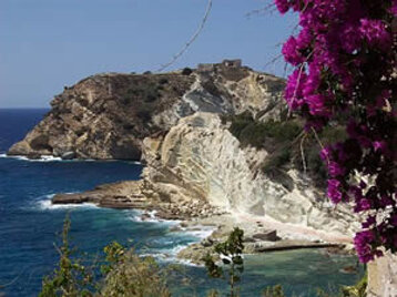 ba8a7962-e331-41b1-8555-1ace352cb12c