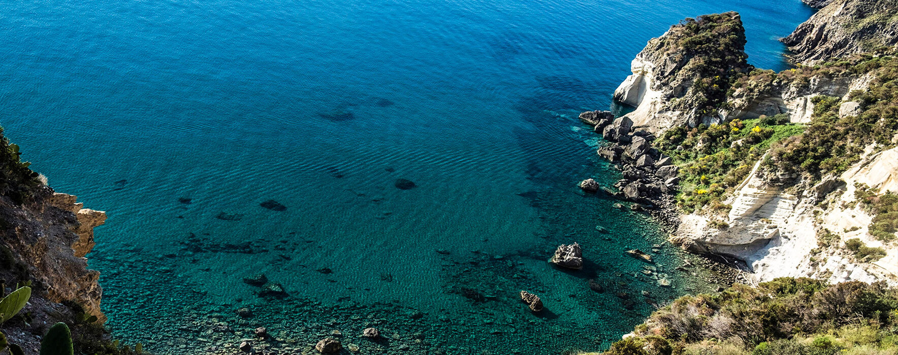 25a711ae-7669-41e4-992a-5a38be266389