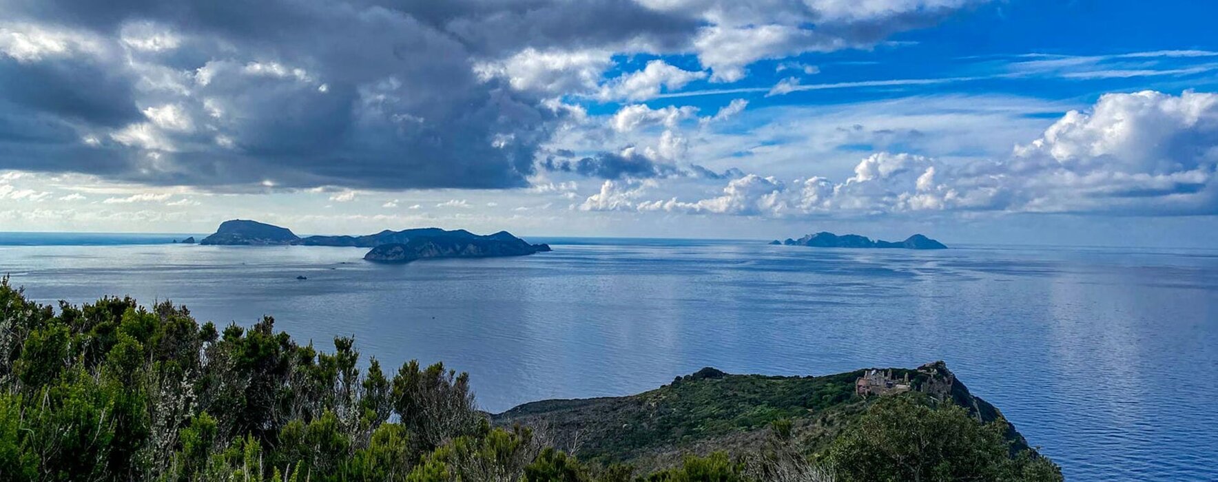 05af0f97-bc44-4eac-9b34-d3250caaec1b