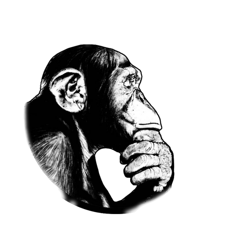 pensa-dopo-lo-scimpanze-scimmia-adesivo pensa-dopo-lo-scimpanze-scimmia-adesivo