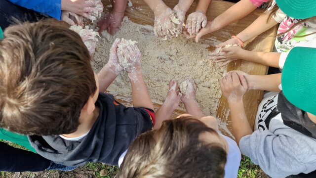 20250314_093145.jpeg 20250314_093145.jpeg