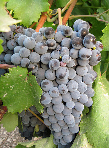 4930066941_2eb0913c6e