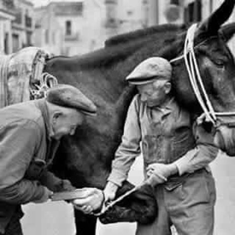 14064022_244647675929224_6732680357303497785_n_1