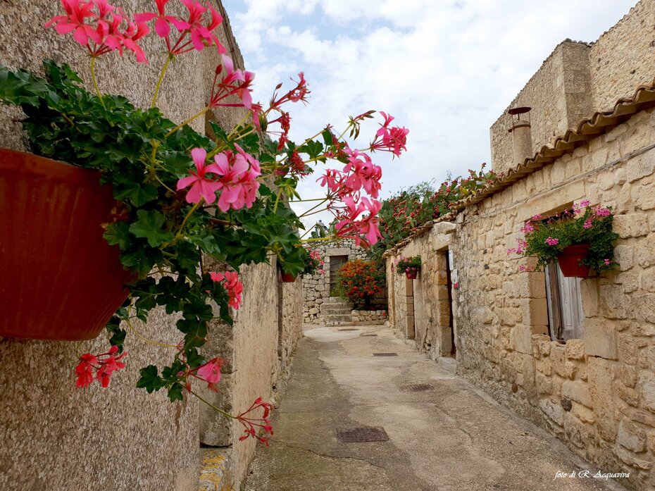 3a151ec6-25b5-4803-8a38-301caf0a9646