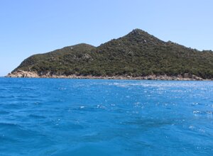 17e68d95-59ec-4735-9d8c-77160b8c9aa2.jpeg 17e68d95-59ec-4735-9d8c-77160b8c9aa2.jpeg