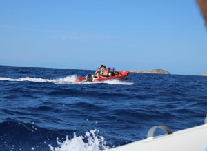 8d4f2e75-c49b-4952-b626-eec0127ee37b.jpeg 8d4f2e75-c49b-4952-b626-eec0127ee37b.jpeg