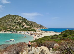 img_8710.jpeg img_8710.jpeg