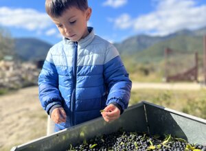 logo agriturismo sito logo agriturismo sito