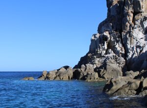 img_0173.jpeg img_0173.jpeg