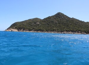 dbace20d-c99c-492e-b446-e6076f4f689b.jpeg dbace20d-c99c-492e-b446-e6076f4f689b.jpeg