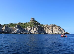 96a1821d-5ed7-4ec3-879e-6a113fce9653.jpeg 96a1821d-5ed7-4ec3-879e-6a113fce9653.jpeg