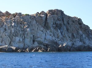 img_1456.jpeg img_1456.jpeg