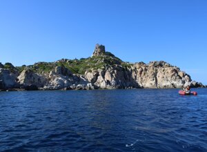 6654a792-a2eb-4705-8489-e94b12dfa7ae.jpeg 6654a792-a2eb-4705-8489-e94b12dfa7ae.jpeg