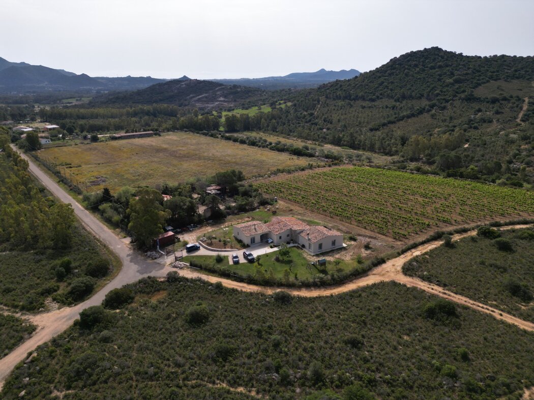 9135e2db-c467-47bb-959f-b91d50546418 9135e2db-c467-47bb-959f-b91d50546418