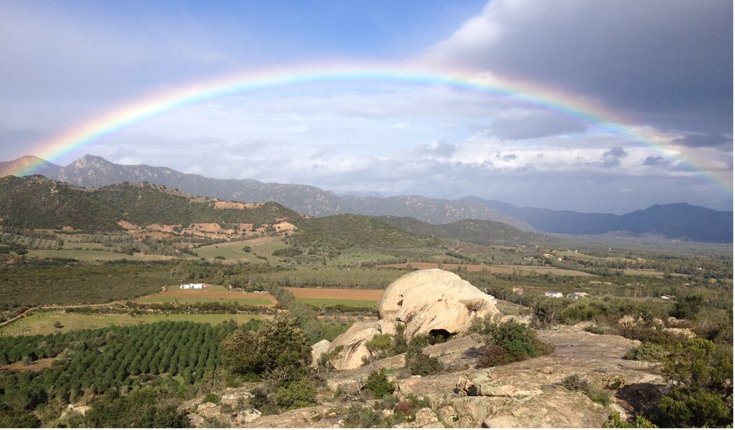 1783f831-613b-496a-ab48-feea34a5834e