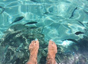 89102cd0-d8cc-46a3-a1b8-0637c6bb81bc.jpeg 89102cd0-d8cc-46a3-a1b8-0637c6bb81bc.jpeg