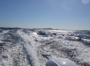 9353c3ca-d2de-4690-8479-cf249ae291a5.jpeg 9353c3ca-d2de-4690-8479-cf249ae291a5.jpeg