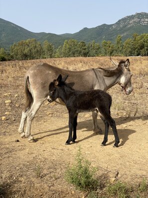 30682_cb246da0e6af2e68973486c3184eb9224557a2f5