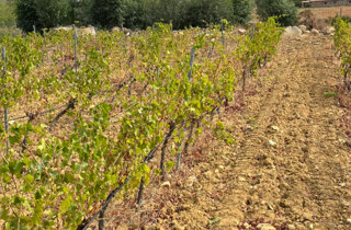 30682_951c0889975d92fba76bddb533bbf5a6527793a5